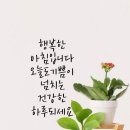 신나는 통기타 교실 이미지