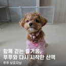 올바른 반려견 보호자 교육 | [P&amp;M 반려견 교육센터] 푸푸 보호자님의 후기