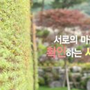 단궁 이미지