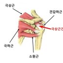 해모아한의원 네이버블로그