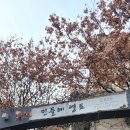 민들레영토경희대점 이미지