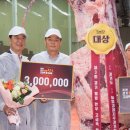 웰빙한우