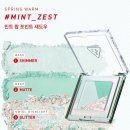 제스트(ZEST) | 3CE 컬러 그리드 아이섀도우 민트 제스트 (#02 MINT ZEST) 후기