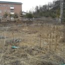 도시네트워크 행정사 이미지