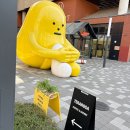 Variation | 테라로사 홍대서교점 주차 가능 카페 솔직 후기