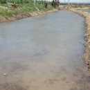 홍연농장 이미지