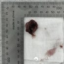 운남동물병원 이미지