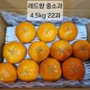 뙤미감성농장