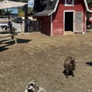 해바라기집밥 이미지