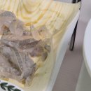 언니카페 이미지