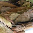 미산농장 이미지