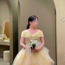 셀레브 브라이덜 촬영 드레스 가봉 후기