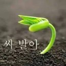 무학성 이미지