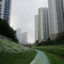 구리둘레길(2코스) 이미지