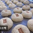 3895 | 부산 카페 베이크백 부산역 모찌빵의 성지