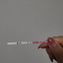 원포농장 | 배란17일차,아기집 보고 옴/제주 맘편한산부인과