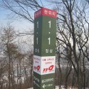 늠내길 1코스 숲길 이미지