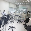 펫 이발소 | 목동 애견미용 잘하는곳 추천 펫이발소 이용후기