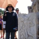 하나로가축병원 이미지