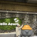 대구 침산동 대형카페 제주 감성 듬뿍 다양한 베이커리까지 대구역 근처 애월빵공장 주차 무료