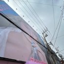 바디닥터선향 | 4월 성수 팝업 후기 / 비오레 | 하트퍼센트 | 우주...탱글엔젤 잔망루피 | 닥터포헤어 | 센슬 | 블룸...