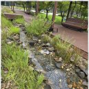 스페셜클린 이미지