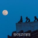 달빛여행