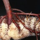 삼아어산 이미지