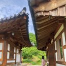 화개 캠핑장 쉼 | 하동 한옥숙소 : 하동에 왔다면 하루해한옥펜션 써봐야지