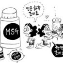 엠에스지(MSG)의 정체 이미지