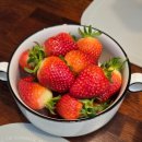 6684 | 경주 내돈내산 숙소 한옥독채 신라풀스테이 솔직 후기