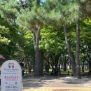 고산유적지 진입로 구간 | 🌿 [내돈내산] 경주 역사 여행의 시작, 대릉원 방문 후기