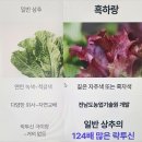더쿠마
