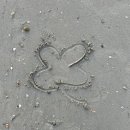 송호파크 이미지