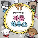 아콩하우스 | [ 인천 ] 부평 애견미용샵, 아콩하우스