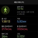 엘베강독일 이미지