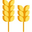 어울림병원