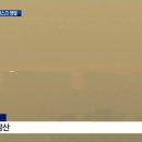맑은빛안경콘택트