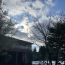 붉은오름자연휴양림4 이미지