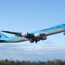 캣츠앤독스 이미지