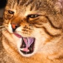 메디칼 공감 이미지