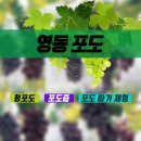 영동에너지 이미지