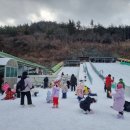 석창 이미지