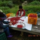 상오농장 이미지