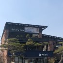 빵과당신