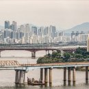 동동공인중개사사무소 이미지