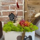 가락가락 이미지