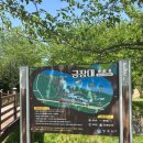 금장대 | 경주 금장대 나들이 연등과 푸릇한 풍경