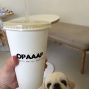 오파프부산 이미지