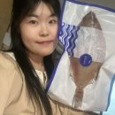 반건조생선 반건조 가자미 경인수산유통 ft.자취생에게 최고인 손질된 간편하고 신선한 가자미
